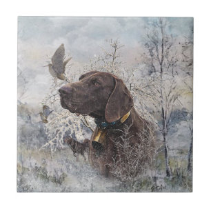 Azulejo Puntero de Shorthtransmitió alemán