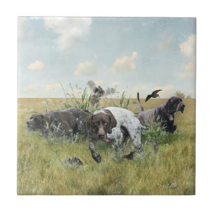 Azulejo Punteros de corto alcance alemanes