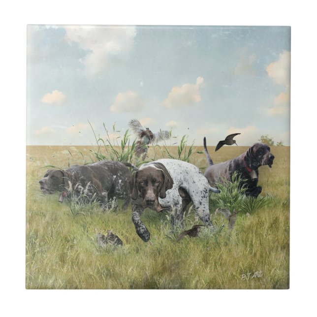 Azulejo Punteros de corto alcance alemanes (Frente)