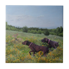 Azulejo Punteros de corto alcance alemanes