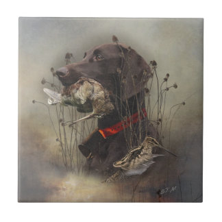 Azulejo Punteros de corto alcance alemanes