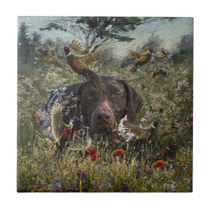 Azulejo Punteros de corto alcance alemanes (GSP)