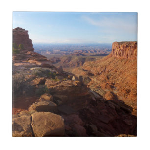 Azulejo Punto de Gran Vista en el Parque Nacional Canyonla
