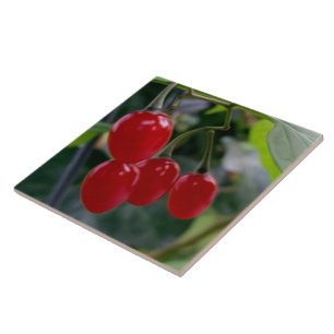 Azulejo Puntos rojos otoñales