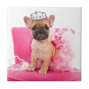 Azulejo Puppy french bulldog disguised