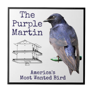 Azulejo Purple Martin