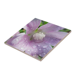 Azulejo Púrpura brillante