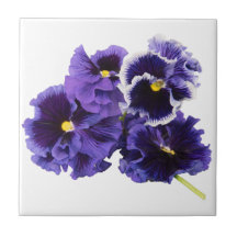 Púrpura Pansy Cerámica Tile