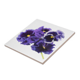 Azulejo Púrpura Pansy Cerámica Tile