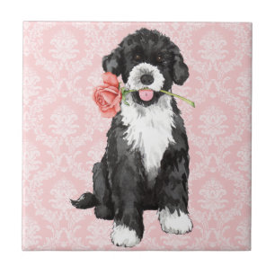 Azulejo PWD subió tarjeta del día de San Valentín