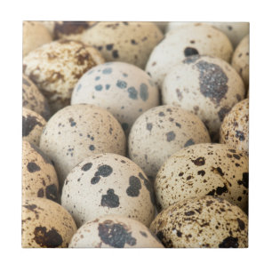Azulejo Quail Eggs