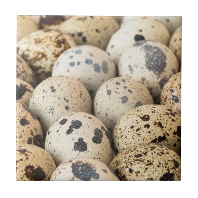 Azulejo Quail Eggs (Frente)
