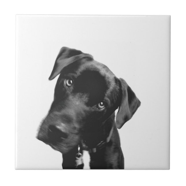 Azulejo ¿Qué? (Frente)