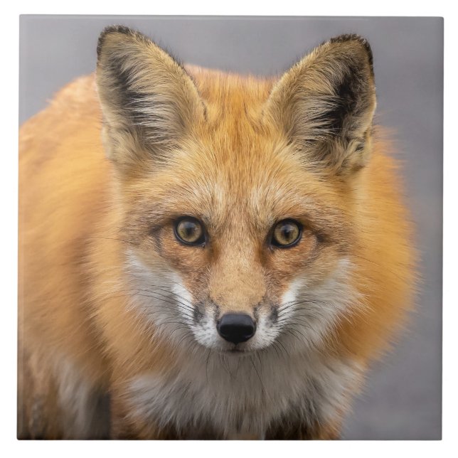 Azulejo Qué ojos más grandes tienes (Frente)