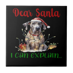Azulejo Querido Santa Puedo Explicar Great Dane Camiseta E