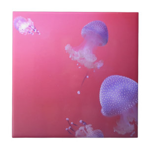 Azulejo Quirky Jellyfish en el agua rosada