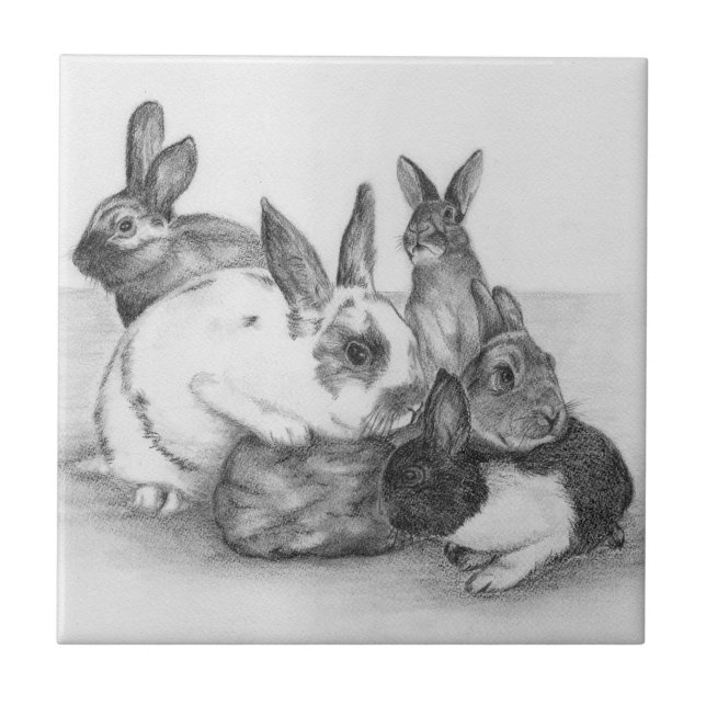 Azulejo Rabbit Tile (Frente)
