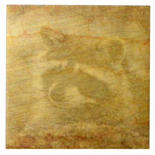 Azulejo Raccoon Vintage