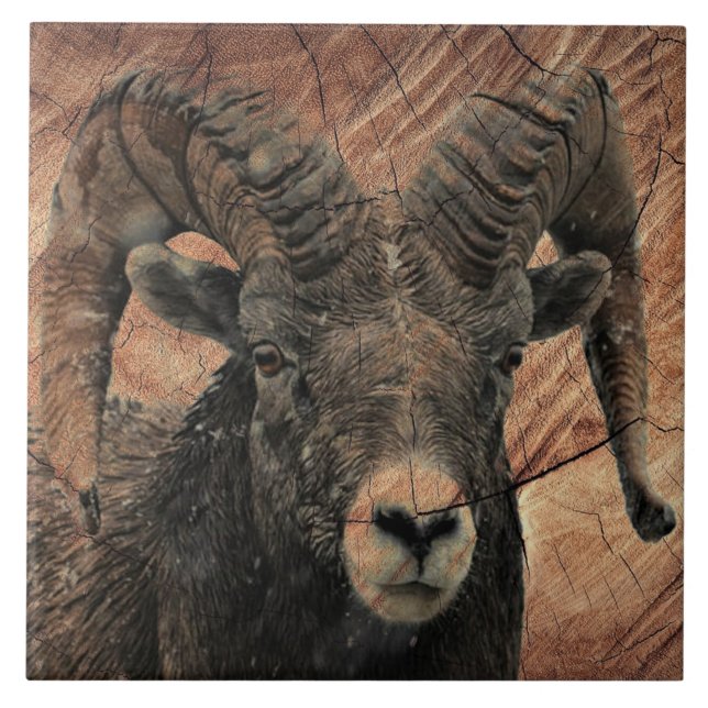 Azulejo Ram (Frente)