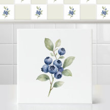 Rama botánica de arándano azul silvestre en acuare