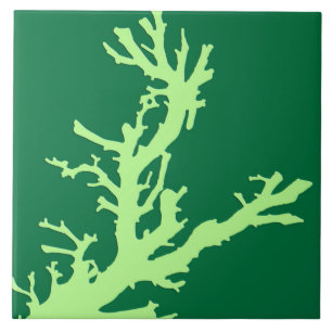 Azulejo Rama de coral: cal y verde esmeralda