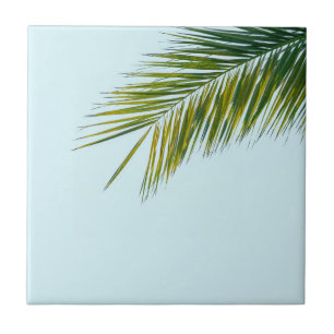 Azulejo rama de palmera
