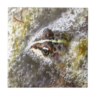 Azulejo Rana inmersa en burbujas de agua y peto