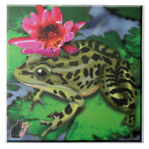 Azulejo Rana leopardo