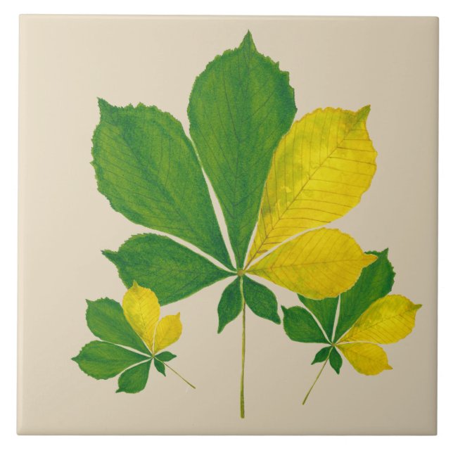 Azulejo 'Rang De Basanti' sobre una tela cerámica (I) (Frente)