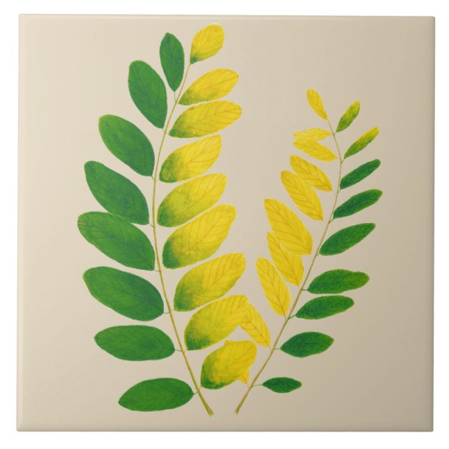 Azulejo 'Rang De Basanti' sobre una tela cerámica (II) (Frente)