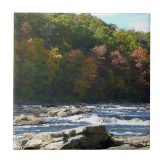 Azulejo Rapids del río Ohiopyle en el otoño de Pensilvania