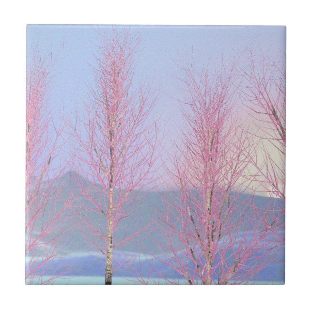 Azulejo Raspberry Creme Birch (Frente)