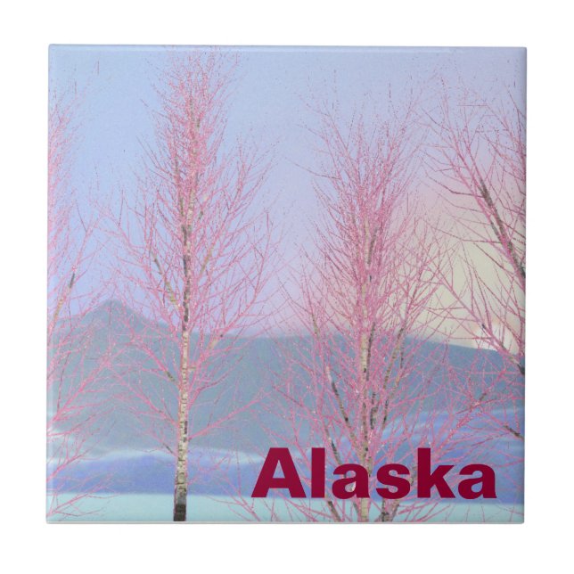 Azulejo Raspberry Creme Birch (Frente)