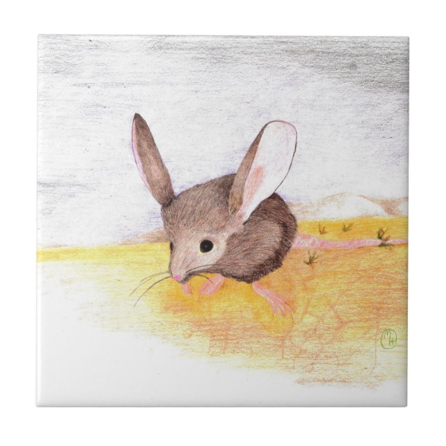 Azulejo Ratón desierto (Frente)