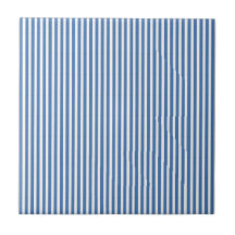 Rayas minimalistas azules y blancas clásicas