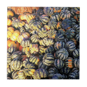 Azulejo Rayas y Calabazas