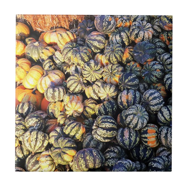 Azulejo Rayas y Calabazas  (Frente)