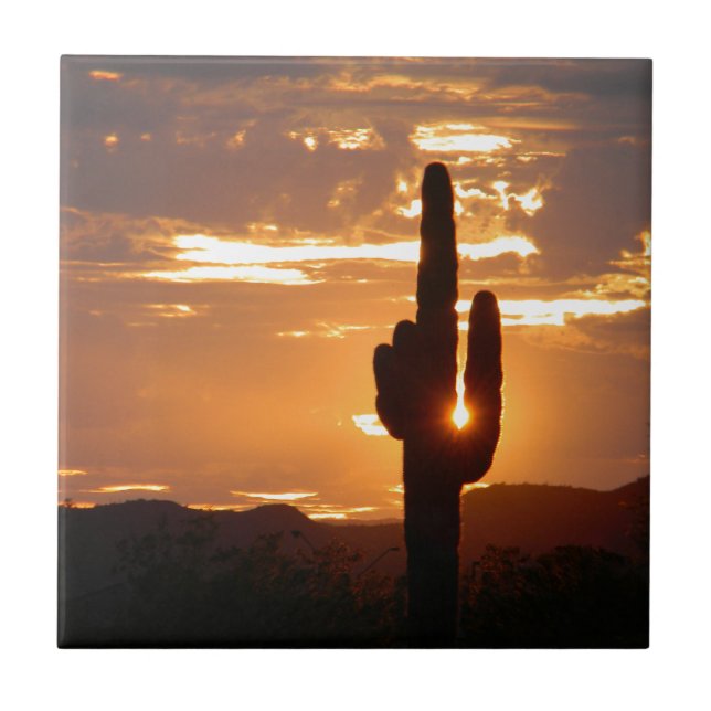 Azulejo Rayos del Saguaro (Frente)