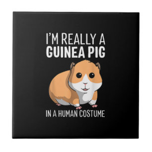 Azulejo Realmente Soy Un Cerdo De Guinea Con Un Traje Huma