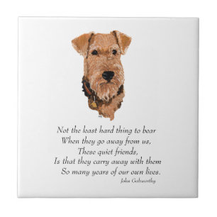 Azulejo Recuerdo de Airedale, galés, Lakeland Terrier