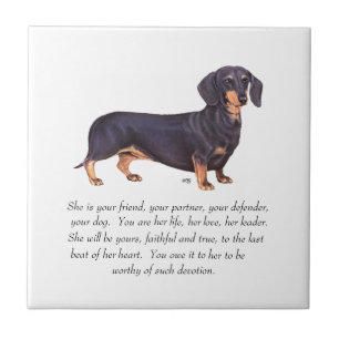 Azulejo Recuerdo de Dachshund - Hembra