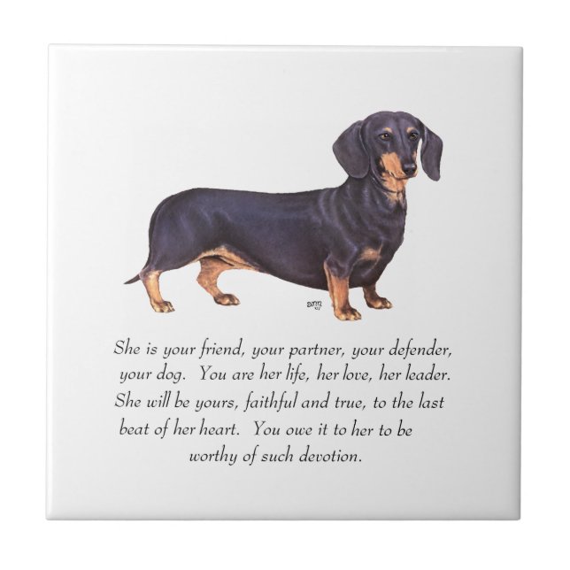 Azulejo Recuerdo de Dachshund - Hembra (Frente)