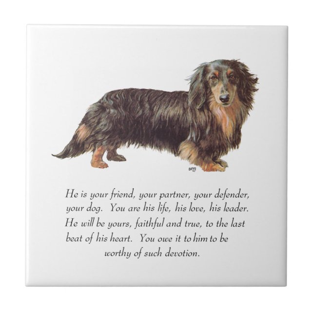 Azulejo Recuerdo de Dachshund - Macho (Frente)