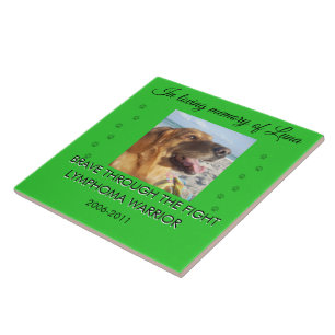 Azulejo Recuerdo de Mascota 1 Foto - Valiente en la Lucha