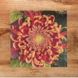 Azulejo Red and Yellow Incurve Chrysanthemum Floral<br><div class="desc">Ceramic tile that features the colorful photo image of a red and yellow,  incurve chrysanthemum flower. A lovely,  floral design! Select your tile size. Makes a pretty kitchen trivet!</div>