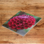 Azulejo Red Dahlia Bloom Floral Cerámica Tile<br><div class="desc">Baldosa cerámica que muestra la foto de una flor Dahlia roja. ¡Un bonito diseño floral! Seleccione su tamaño de mosaico. ¡Hace un gran trivet de cocina!</div>