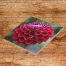 Red Dahlia Bloom Floral Cerámica Tile