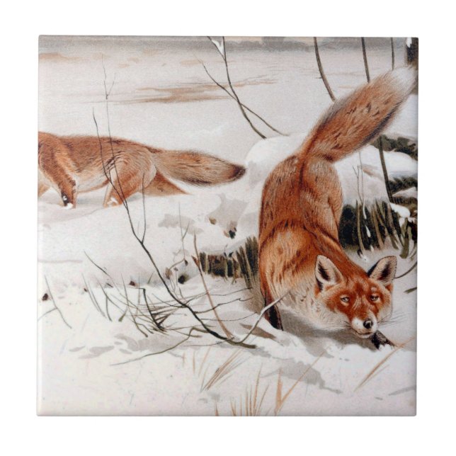 Azulejo Red Foxes in the Winter Snow (by Wilhelm Kuhnert) (Frente)