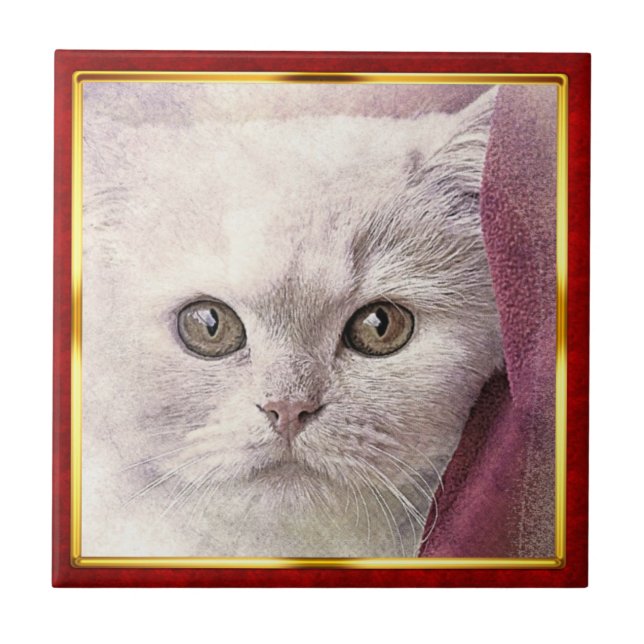 Azulejo Red & Gold Framed Abstract Cat Print (Frente)