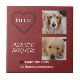 Azulejo Red Halo Pet Remembrance 